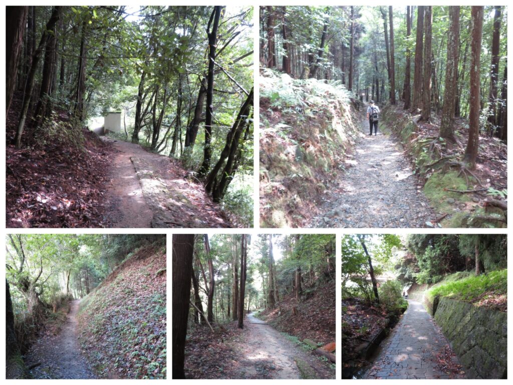 檜原神社への道