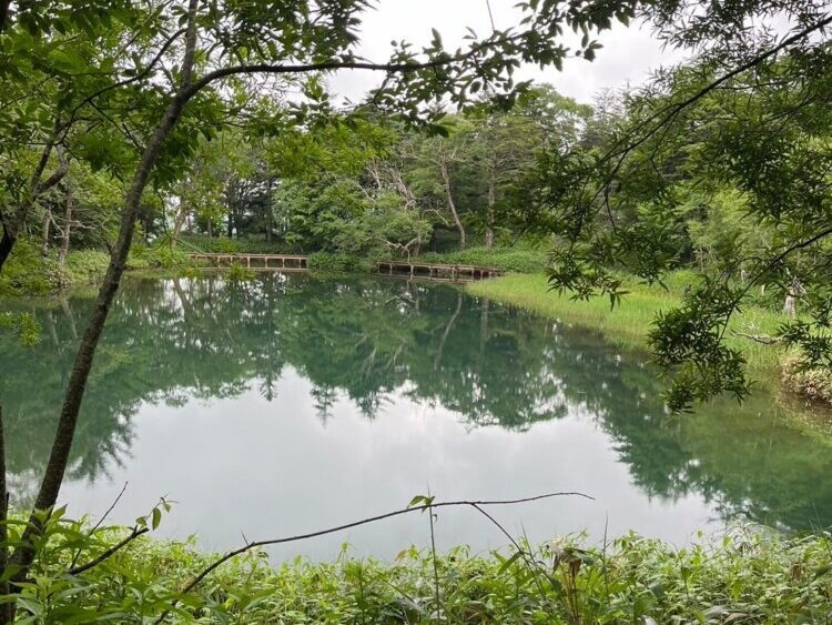 万座温泉牛池